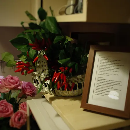 Vatican Bed & Breakfast